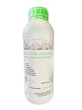 GLICERINA VEGETAL LIQUIDA CALIDAD FARMACEUTICA 100% | 1 LITRO |