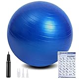 flintronic Fitness Pelota de Ejercicio, 55cm Fitball, Pilates, Embarazo y Sentarse,Equilibrio, Entrenamiento （ Incluye Caja de Color,Manual de Instrucciones,Bomba de Aire,Azul 55cm