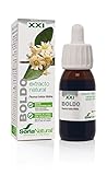 Soria Natural Boldo Extracto - Favorece la Depuración Hepática, Apoya la Digestión y Ayuda a Eliminar Líquidos - 100% Puro - Suplemento de Boldo para la Salud de los Hepática - Botella de 50 ml