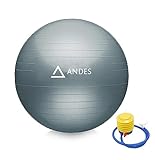 Andes. Pelota de Gimnasia, Fitness, Yoga, Pilates, Tamaño 55, 65 y 75 cm, Fitball para Ejercicios y Embarazos, Bola para Sentarse, Balón Muy Resistente, Hinchador Inlcuido. (65 CM)