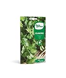 Eurogarden - Semillas de Cilantro, Planta culinaria aromática, 15 g - 1712