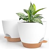 Winter Shore Maceta Autorriego de 20 cm [Pack de 2] - Maceta Plastico Blanco y Marrón con Agujeros de Drenaje, Platillo, Depósito de Agua - Macetas Decorativas Interior y Exterior Modernas