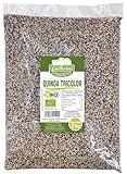 Guillermo | Quinoa tricolor BIO - Bolsa 2 kg. | 100% ecológica | Superalimento | Fuente de fibra, proteína y omega-6