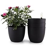 T4u Auto Riego Plantador Negro 15CM Ronda Paquete de 4, Planta Maceta Cajas para Interiores Al Aire Libre Jardines de Windowsill Idea Regalo para Cumpleaños y Boda y Navidad