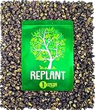 REPLANT - Pimienta de Timut 110g - Grand Cru Nepal 2024 - Baya Entera - Familia Pimienta de Sichuan - Bolsa de recambio de molino 'FreshZIP'